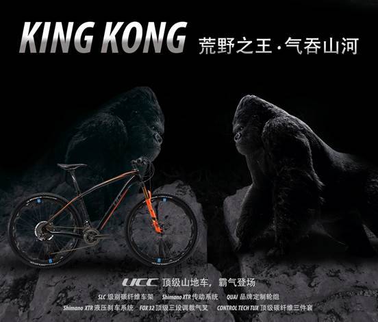 ucc自行车是什么,ucc自行车的缺点