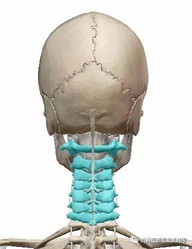 痉挛性斜颈患者说出了大秘密,痉挛性斜颈脖子歪照片