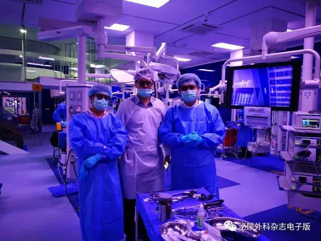 求技于workshop，问道于亚洲厅堂——亚洲泌尿外科培训教育集团（AUSTEG）上尿路腹腔镜外科培训班侧记之求技篇