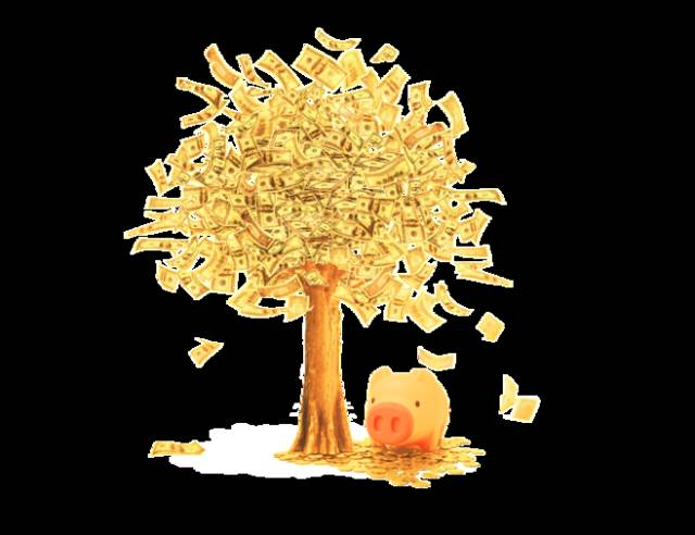 压岁钱的管理和财商的培养 (压岁钱财商处理方案)