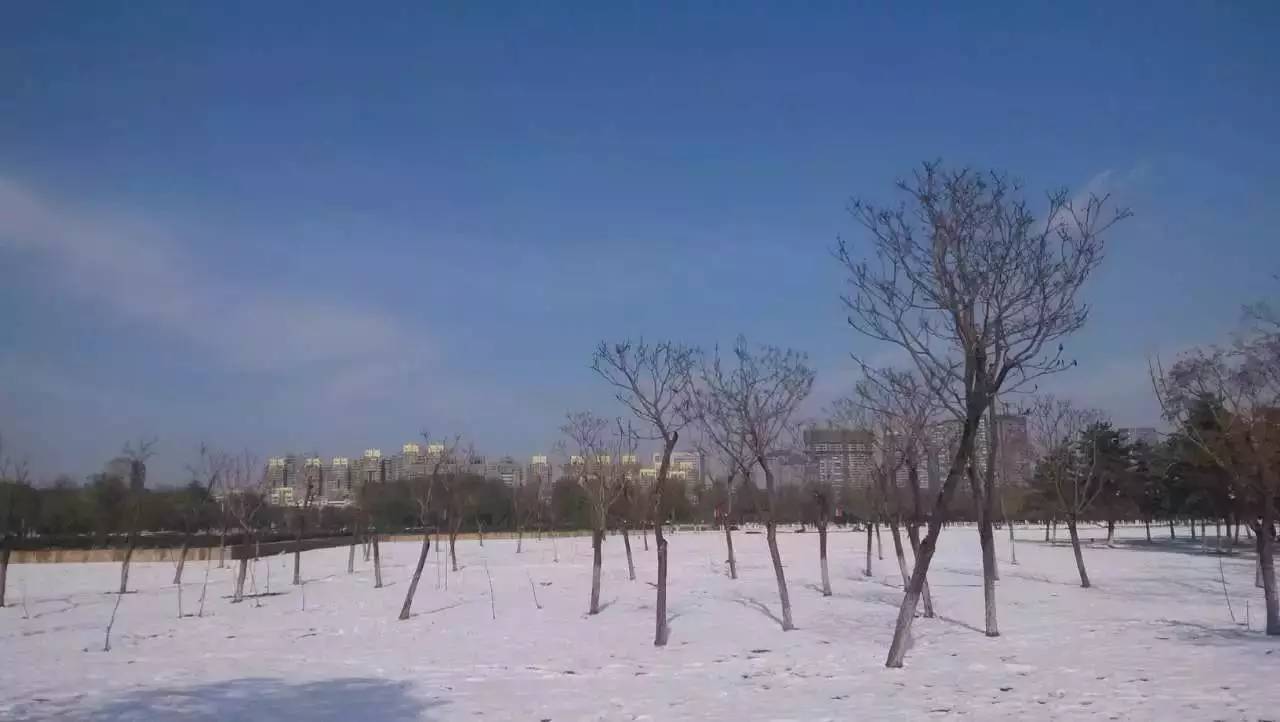 我最喜欢的一本书全篇,2020年我最爱好的一本书