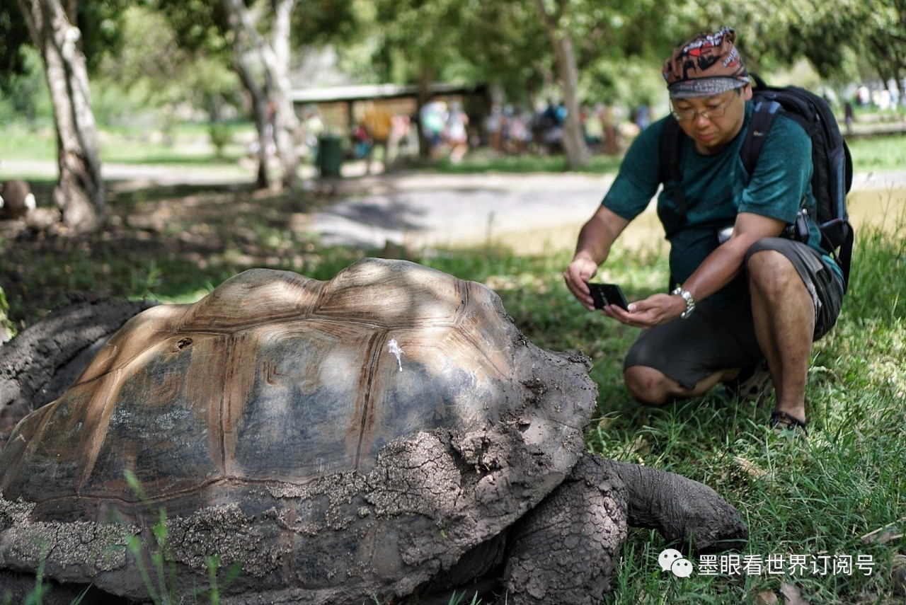 毛里求斯幸福的天堂完整版,天堂的故乡毛里求斯