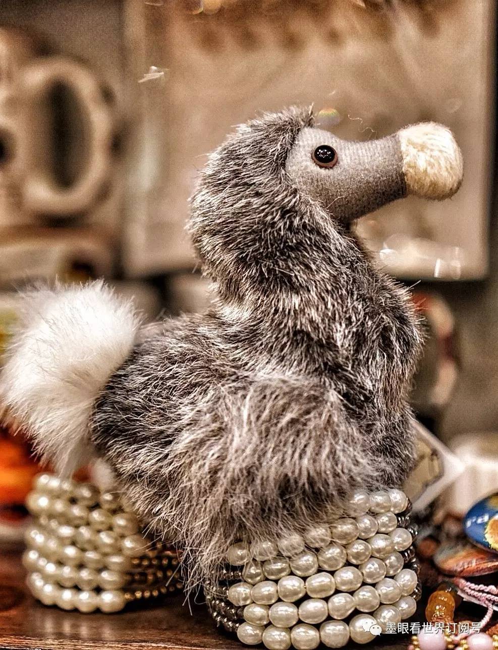 毛里求斯幸福的天堂完整版,天堂的故乡毛里求斯