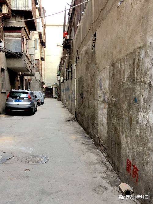 院长大搞翻新改造工程,院长翻天覆地的生活