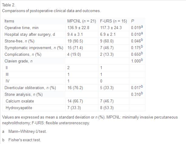 纤维软性肾镜取石对结石大小要求,经皮肾镜取肾结石最佳适应症