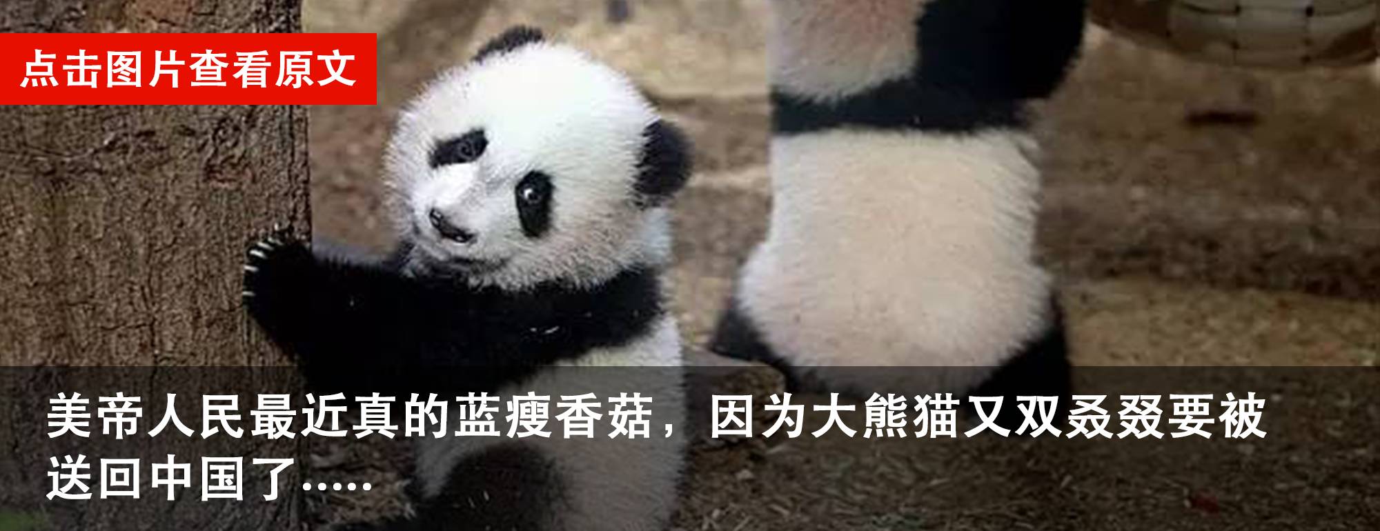 老外开保险箱一夜暴富,老外打开淘宝