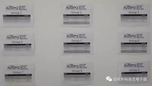 求技于workshop，问道于亚洲厅堂——亚洲泌尿外科培训教育集团（AUSTEG）上尿路腹腔镜外科培训班侧记之求技篇