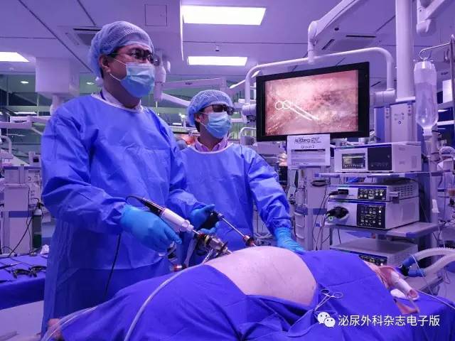 求技于workshop，问道于亚洲厅堂——亚洲泌尿外科培训教育集团（AUSTEG）上尿路腹腔镜外科培训班侧记之求技篇