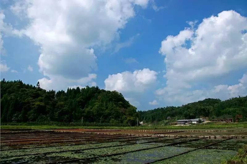 三千多平方公里的家，名字叫石柱