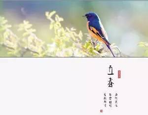 「旅游报」陆客大减台湾旅游业惨淡：酒店倒闭旅行社关门