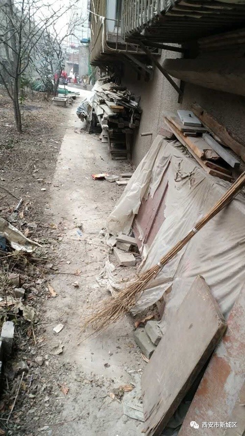 院长大搞翻新改造工程,院长翻天覆地的生活