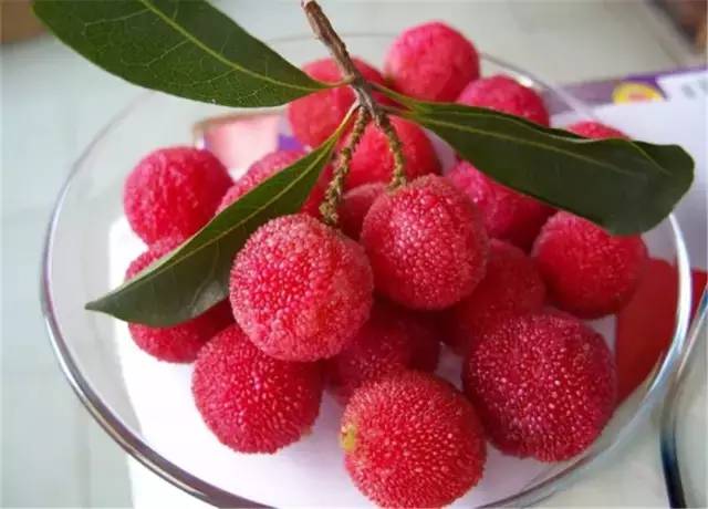 1-12月应季水果时间表,应季水果时间表及产地