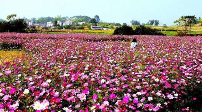 南宁旅游景点吃喝玩乐,南宁旅游游山玩水景点推荐