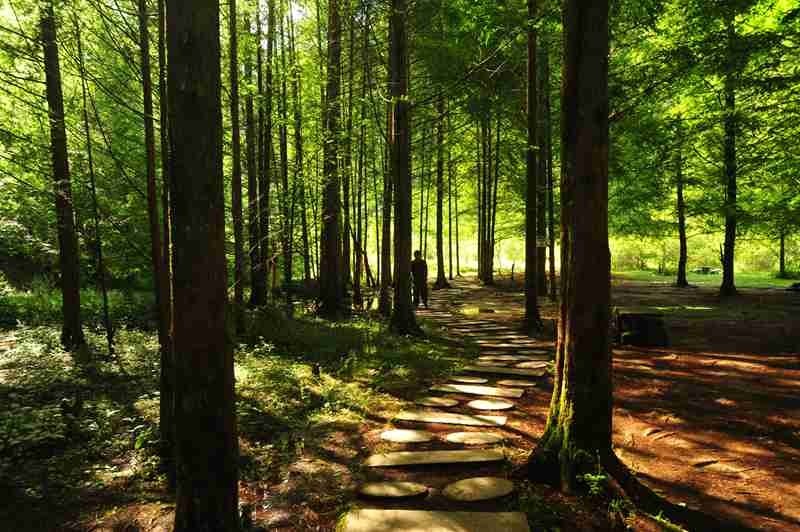 三千多平方公里的家，名字叫石柱