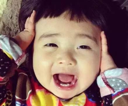 和你侃：不盖楼改种草生态概念股起航了