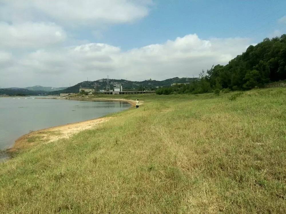 是谁含辛茹苦抚养你长大,是谁养育了我朗诵