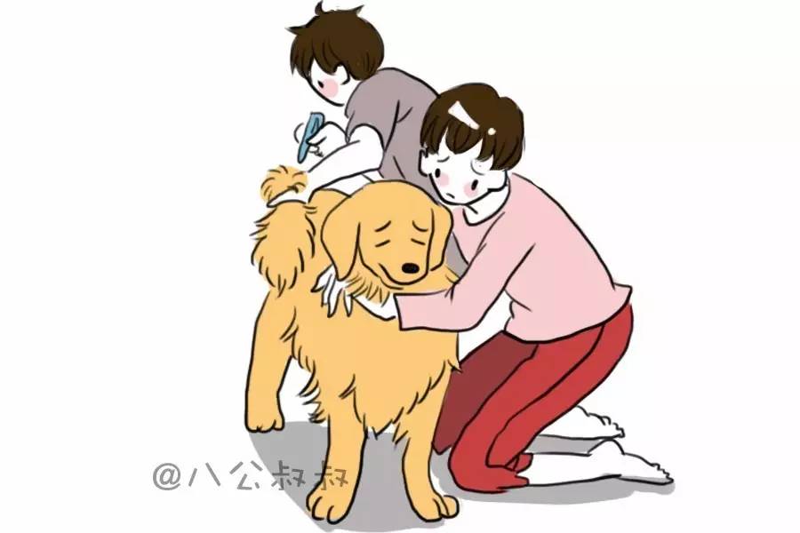 狗狗为什么会被冻成这样,狗狗有多耐寒躲在雪下也冻不死