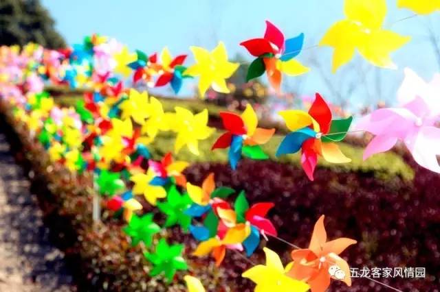 五一五龙客家风情园,五龙客家风情园免费游