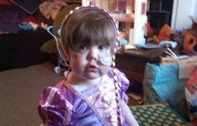 边牧察觉主人情绪,边牧见到小主人哭了原视频