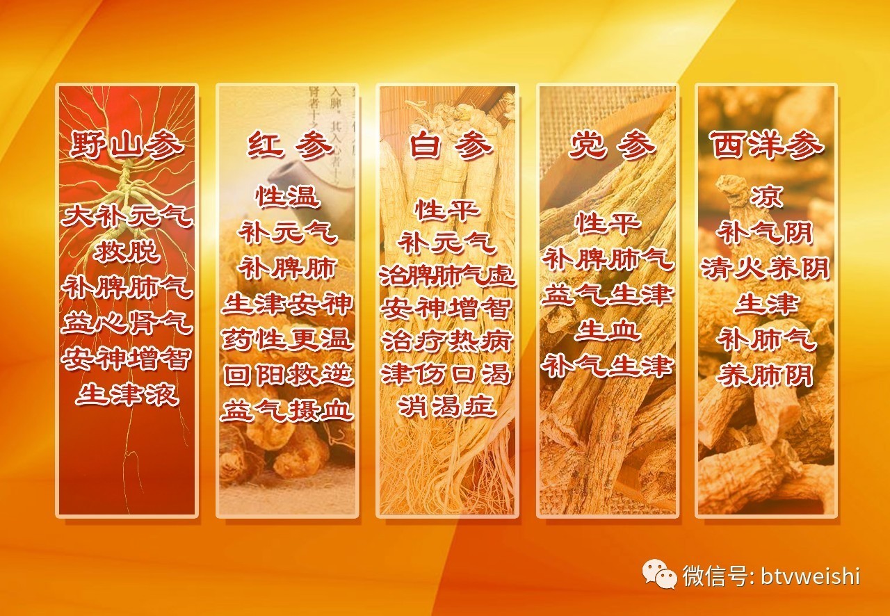 养生堂健康节目全集,养生堂今日重播