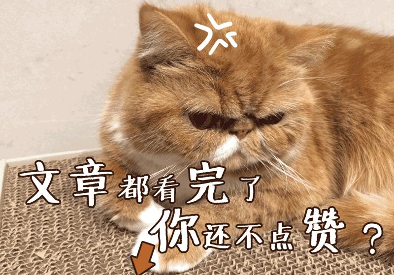 蓬莱阁庙会时间表,蓬莱阁庙会有啥好玩的