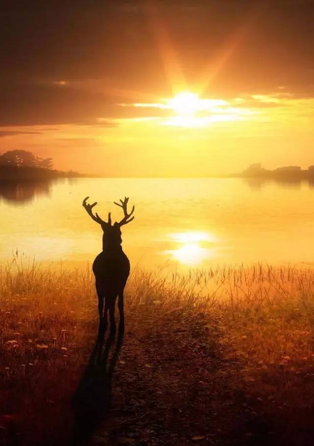 极品风光摄影作品,中国顶级风光摄影网