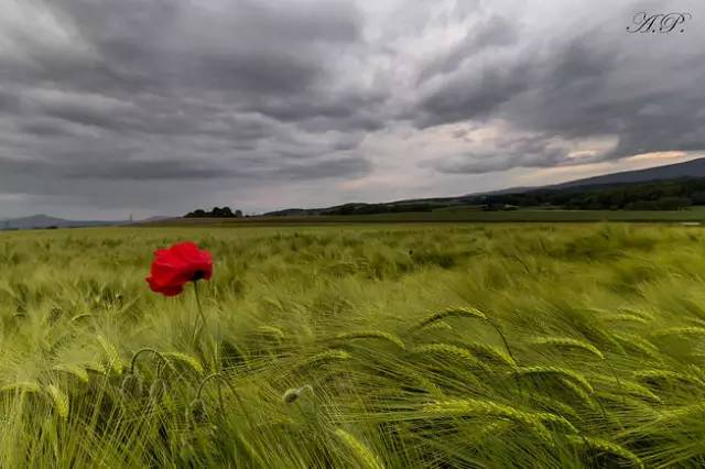 极品风光摄影作品,中国顶级风光摄影网