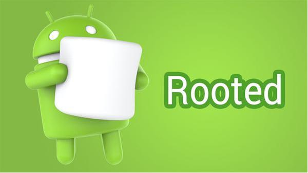 一键root大师教你root技巧,强力一键root怎么取消root