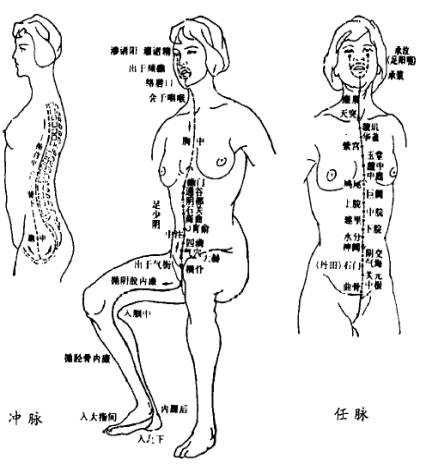 中医对奇经八脉的解释,倪海厦十二经络与奇经八脉简介