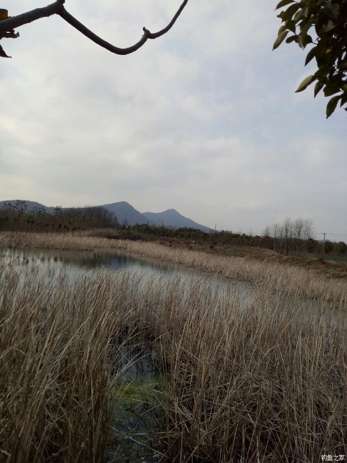 青山荒野垂钓,青山野钓哪里最好玩