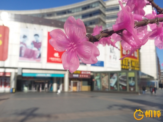 三星盖乐世a53拍照,盖乐世c9pro拍照