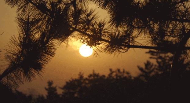 在被称做“东方瑞士”的仙境，她盖了一座令人心境荡漾的房子，森林与大海都在后花园里