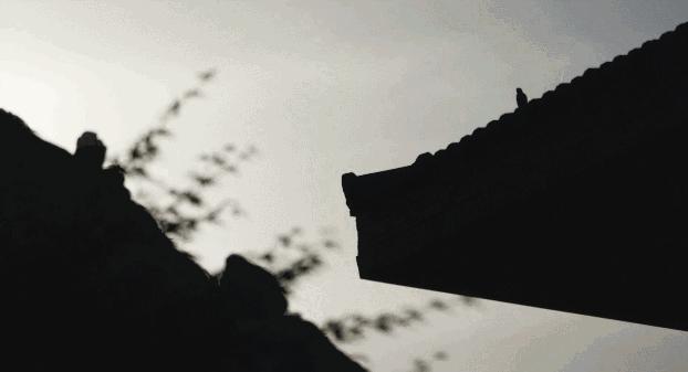 在被称做“东方瑞士”的仙境，她盖了一座令人心境荡漾的房子，森林与大海都在后花园里