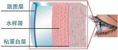 大开眼界视力矫正,眼睛干眼症怎么治疗最有效