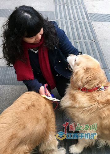 以领养代购方式保护流浪动物,被领养的流浪动物