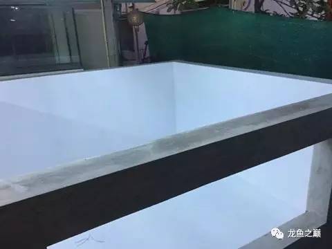 被龙鱼驱赶，哭！