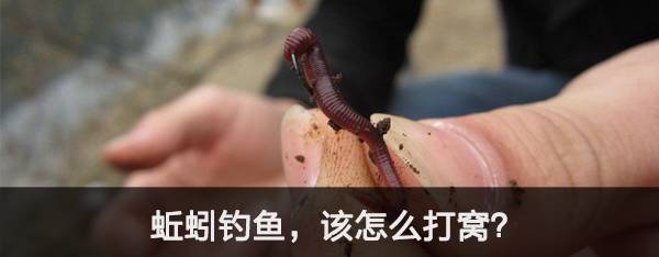 青山荒野垂钓,青山野钓哪里最好玩