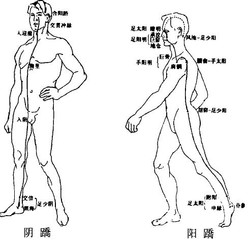 中医对奇经八脉的解释,倪海厦十二经络与奇经八脉简介