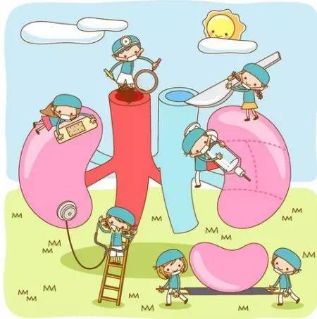 「健康」尿常规报告上这几个指标，告诉你肾好不好！