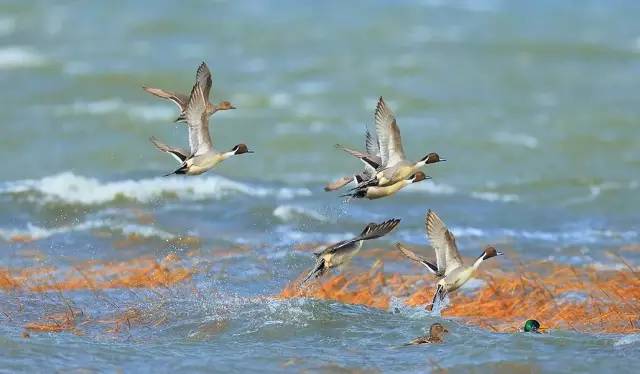 10首中国风音乐,中国风音乐最火的十首