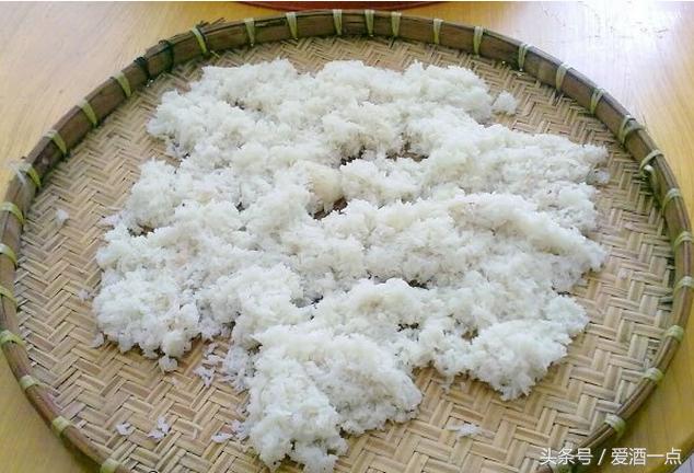 枸杞能直接发酵做酒吗,红枣枸杞发酵酿酒的做法