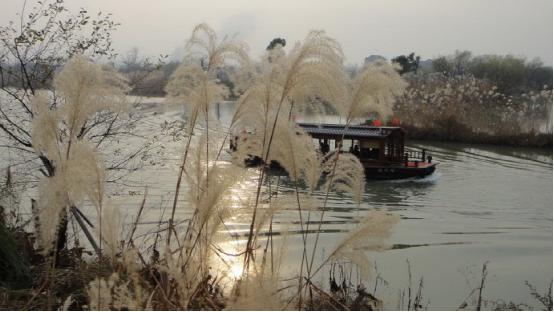 说走就走结伴而行,说走就走一个人的旅行杭州