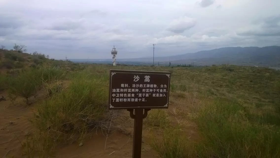 王维大漠孤烟直沙坡头,沙坡头大漠孤烟直在哪里看