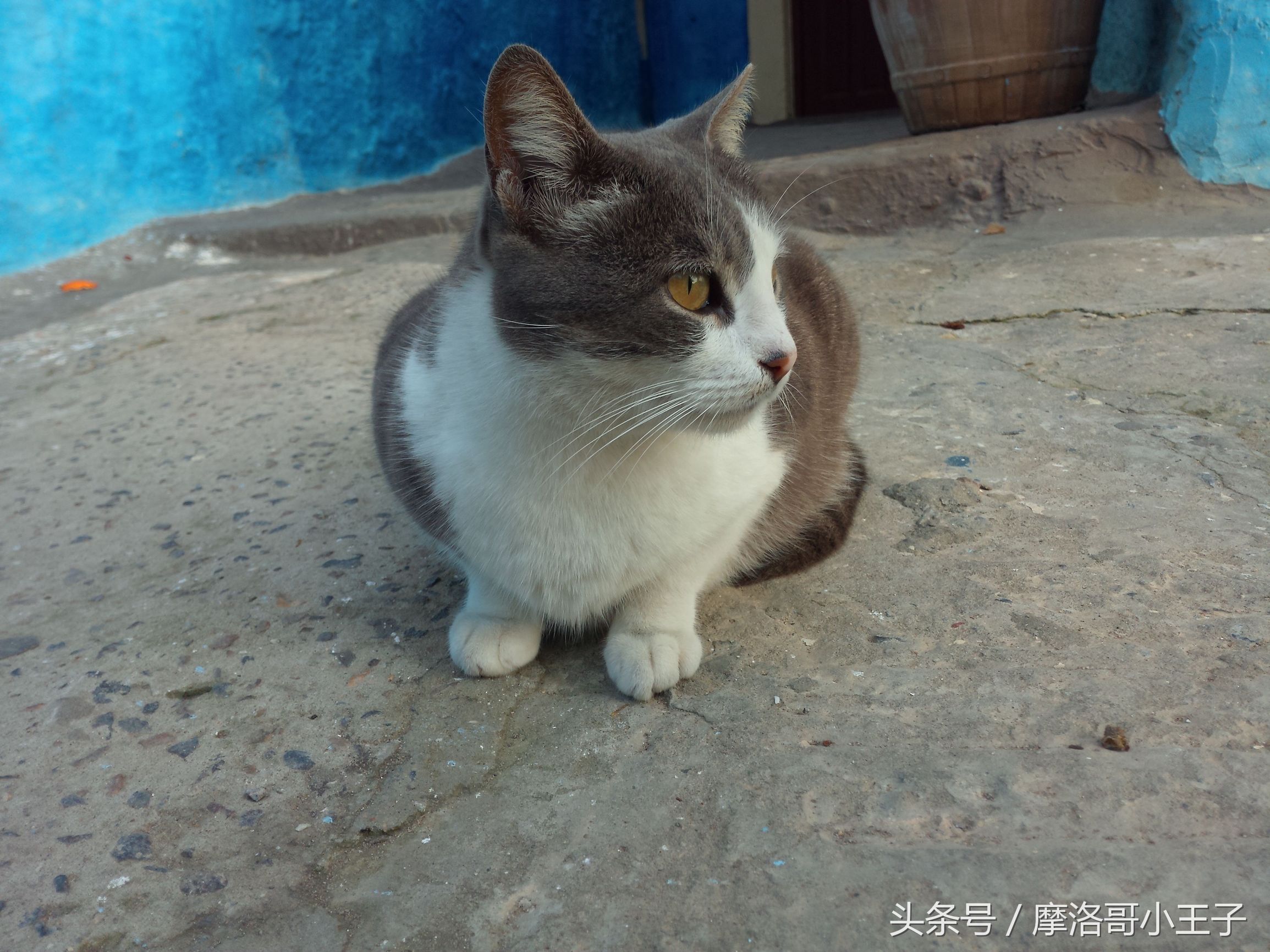 摩洛哥七天旅游攻略,摩洛哥7天攻略