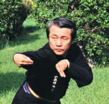 中国武术界大师实战,70年代武术大师真实表演