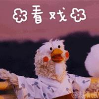 这两只在日本爆火的贱鹦鹉，一定能成为表情包界最火的新网红！