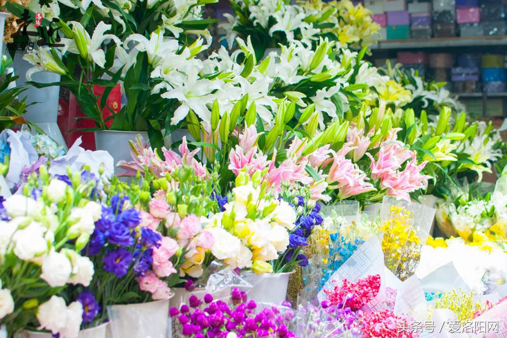 洛阳新区年货批发市场,洛阳老城年货市场