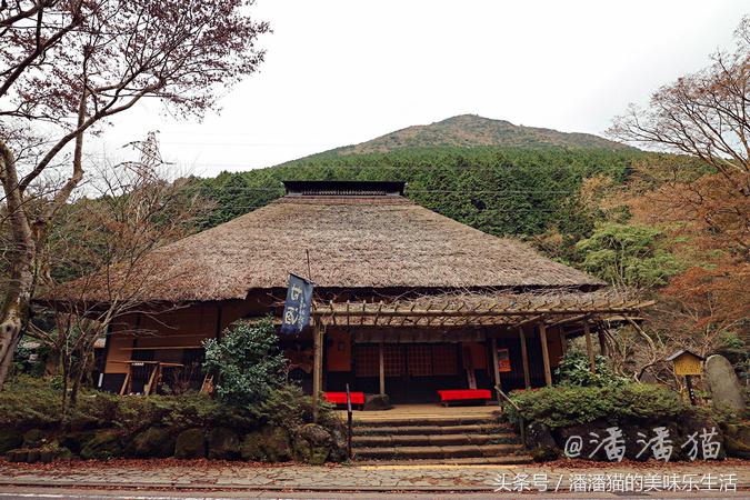箱根温泉视频,箱根温泉深度解析