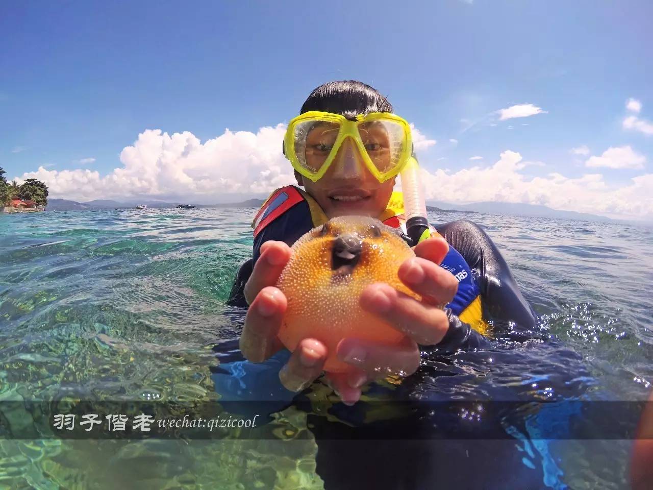 印尼美娜多旅游潜水攻略,印尼美娜多潜水圣地