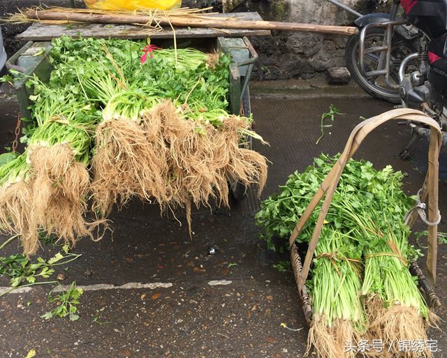 在北方不容易买到的时令蔬菜,这些特色蔬菜你见过吗